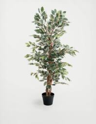 Blooming Artificial 4ft Artificial Ficus Tree in Pot Green Mix