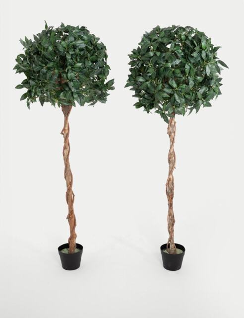 Blooming Artificial 5ft Set of 2 Artificial Tall Bay Trees in Pots Green