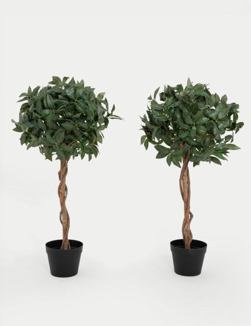 Blooming Artificial 3ft Set of 2 Artificial Bay Trees in Pots Green
