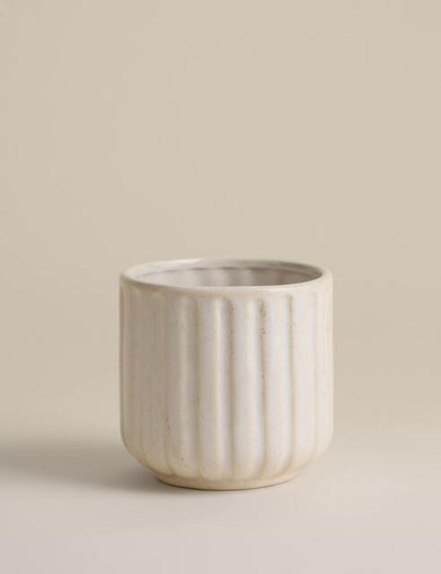 M&S Ridged Ceramic Planter Neutral