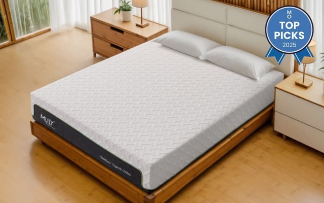 Mlily Bamboo+ Superb Ortho Memory 2500 Pocket Mattress, Double