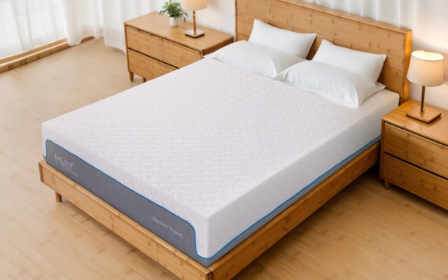Mlily Bamboo+ Superb Memory 2500 Pocket Mattress, Double