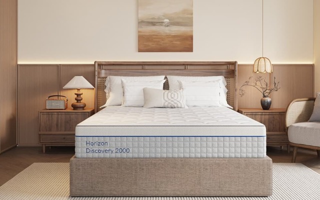 Horizon Discovery 2000 Pocket Memory Mattress, King Size