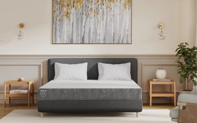 TEMPUR Ease 20 Mattress, Adjustable Single