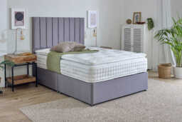 Spring King� Wool Sublime 2000 Pillow Top Mattress + Premium Divan Bed, Mink, No Drawer, Double