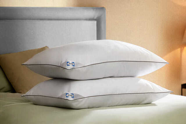 Sealy Anti, Pillow