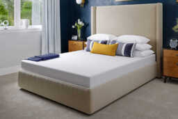Ortho Care Foam Mattress, Single