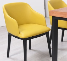 Dining Chair With Arms - thumbnail 5