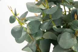 Potted Artificial Eucalyptus Plant - thumbnail 3