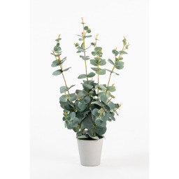 Potted Artificial Eucalyptus Plant - thumbnail 4