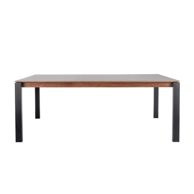Corinna 8 Seat Dining Table Grey - Black legs - image 1