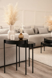 Orion Black Nesting Side Tables - thumbnail 2
