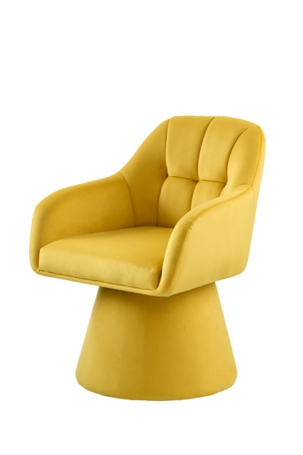 Orbit Dining Chair – English Mustard - image 1