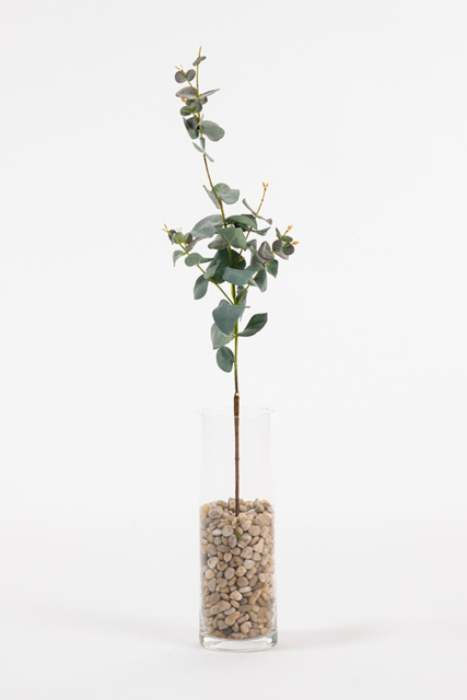Artificial Large Eucalyptus Stem - image 1