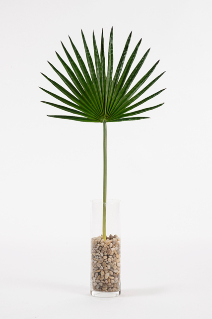 Artificial Large Fan Palm Leaf - image 1