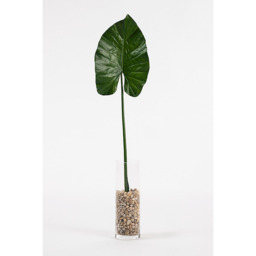 Artificial Large Elephants Ear Leaf - thumbnail 4