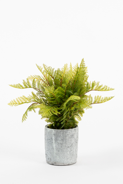Potted Artificial Fern Plant - image 1