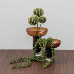 Medium Cognac Glass Vase - thumbnail 2