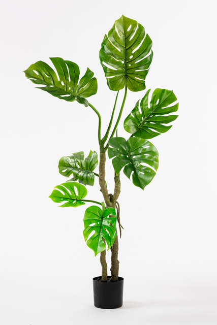 Large Artificial Cheese Plant - image 1