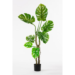 Large Artificial Cheese Plant - thumbnail 5