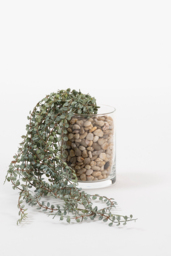 Artificial Eucalyptus Vine - thumbnail 1