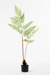 Large Artificial Fern Plant - thumbnail 1