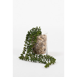 Artificial String of Pearls Vine - thumbnail 5