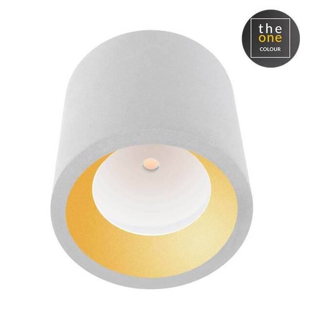 Cosmos LED Small Outdoor Surface Mounted Spotlight White IP65