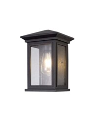 Hoosick Flush Wall Lamp, 1 x E27, IP54, Anthracite, Clear Seeded Glass - thumbnail 1