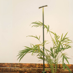 Thalina Outdoor Spike Green LED 3000K IP65 - thumbnail 2