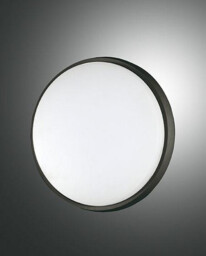 Olly LED Outdoor Surface Mounted Downlight Black Glass, IP54