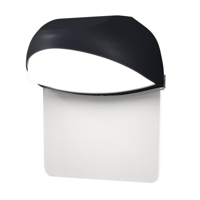 Gloss Outdoor Wall Down Lamp Graphite 3000K 500lm IP65 - image 1