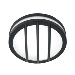Sven 1 Light Wall/Ceiling Lantern  - Graphite Finish IP54, E27