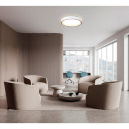 Verona 50cm Round Ceiling 55W LED With Remote Control 2700K-5000K, 7350lm, Gold, 3yrs Warranty - thumbnail 5