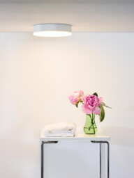 Ceres-Led Modern Flush Ceiling Light Bathroom - Ø 21.5cm- LED Dim. - 1x30W 3000K - IP44 - White - thumbnail 5