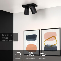 Nigel Modern Ceiling Spotlight - LED Dim to warm - GU10 - 2x5W 2200K/3000K - Black - thumbnail 2