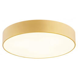 Darling 25cm Flush Ceiling 2 Light Gold Structure