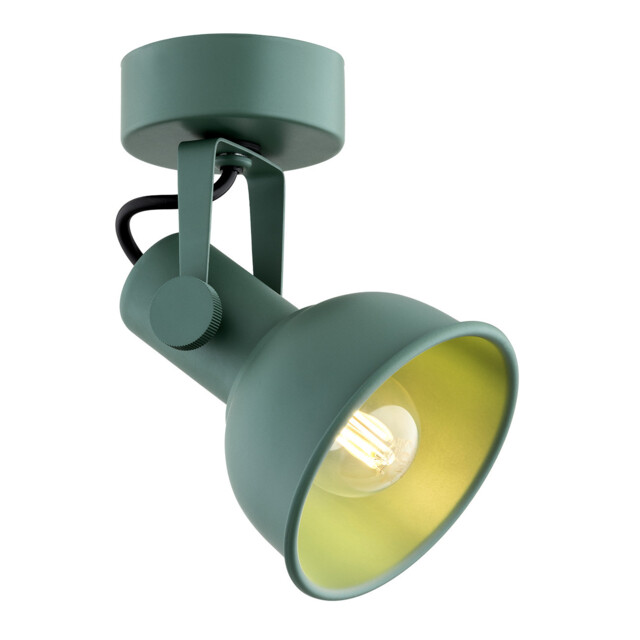 Lenora Single Spotlight Green - image 1