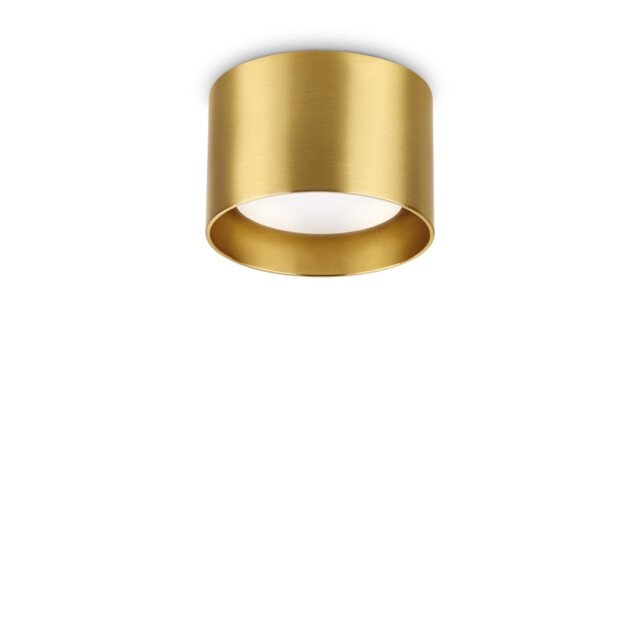 Spike Round Surface Mounted Downlight Brass