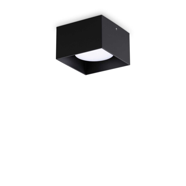 Spike Square Surface Mounted Downlight Black