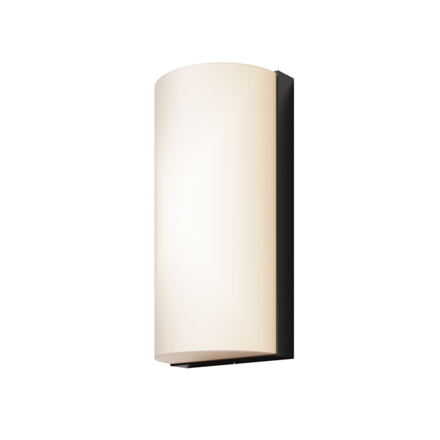 Badd Rounded Outdoor Flush Wall Lamp Graphite 3000K 700lm IP54 - image 1