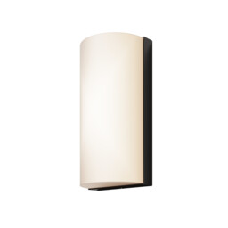 Badd Rounded Outdoor Flush Wall Lamp Graphite 3000K 700lm IP54 - thumbnail 1