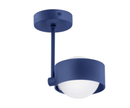 Massimo Plus Outdoor Globe Ceiling Light Opal Matt, Navy Blue Structure IP44