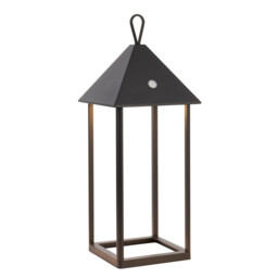 Hoot Large Integrated LED Table Lamp Matt Black, Clear Glass, IP44
