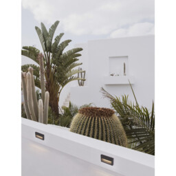 Rio Outdoor Flush Wall Lamp Anthracite Aluminium, Clear Glass LED 6W 122.31Lm 3000K IP65 - thumbnail 2