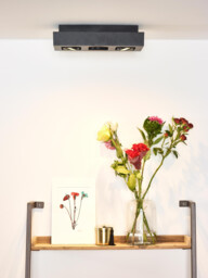 Xirax Modern Ceiling Spotlight - LED Dim to warm - GU10 - 3x5W 2200K/3000K - Black - thumbnail 5