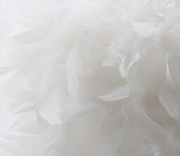 Arqus Feather Shade White 330mm x 200mm - thumbnail 5