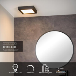 Brice-Led Modern Flush Ceiling Light Bathroom - LED Dim. - 1x20W 3000K - IP44 - Black - thumbnail 2