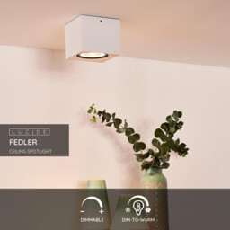 Fedler Modern Surface Mounted Ceiling Spotlight - LED Dim to warm - GU10 - 1x12W 2200K/3000K - White - thumbnail 2