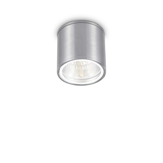 Gun 1 Light Outdoor Surface Mounted Ceiling Downlights Aluminium, Polished Chrome IP44, GU10 - image 1